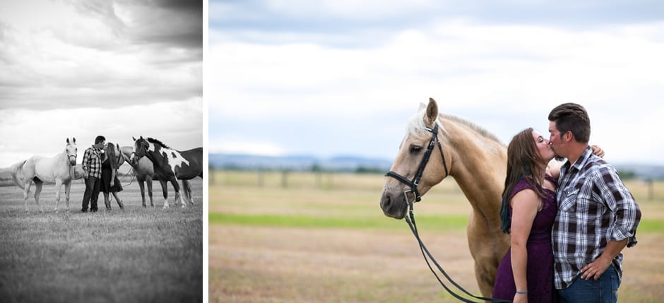 horse engagement photography