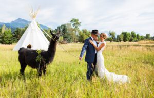 Copper Rose Ranch wedding with llamas