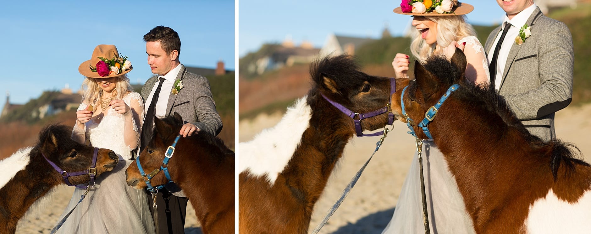 bride and ponies