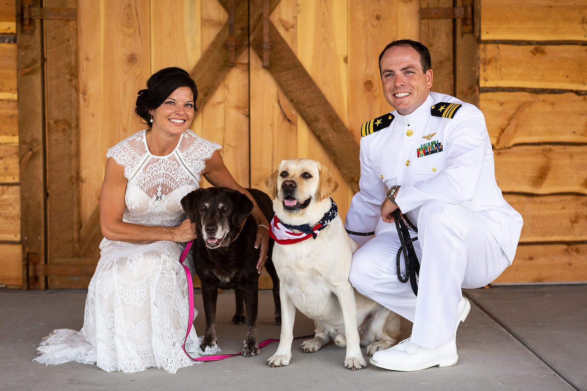 bride and groom and dogs