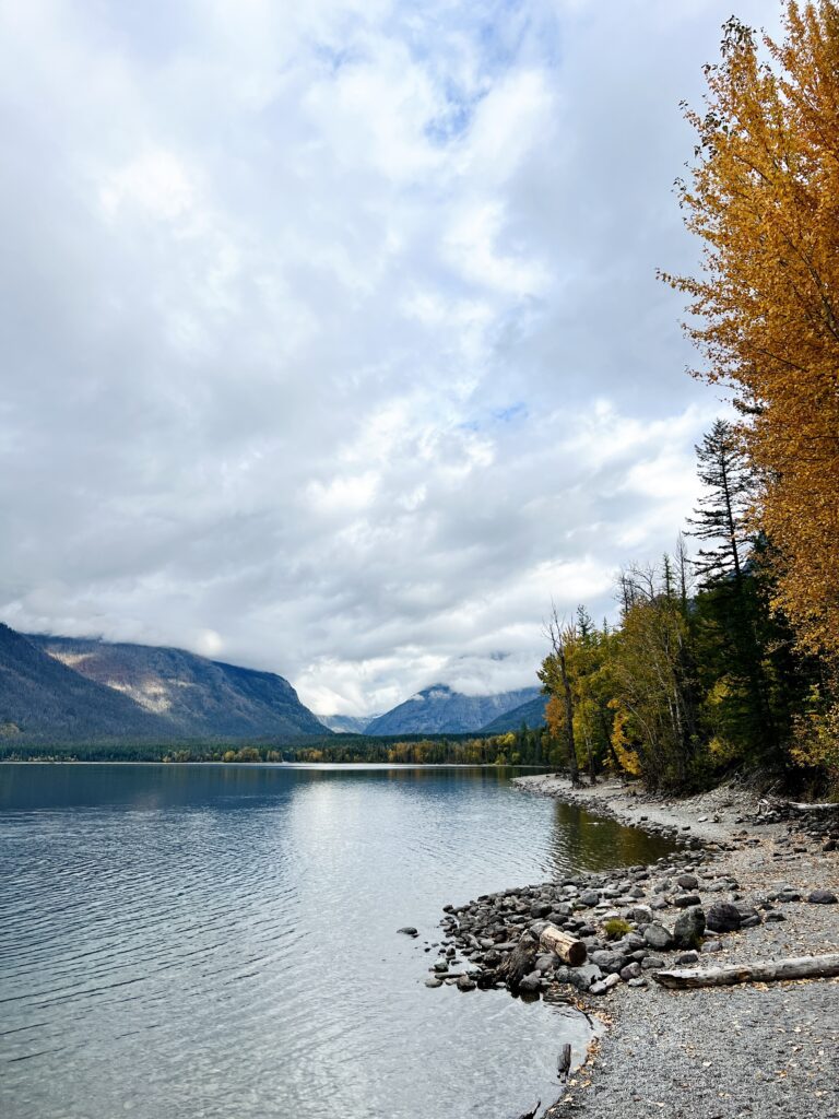 Lake McDonald Shoreline