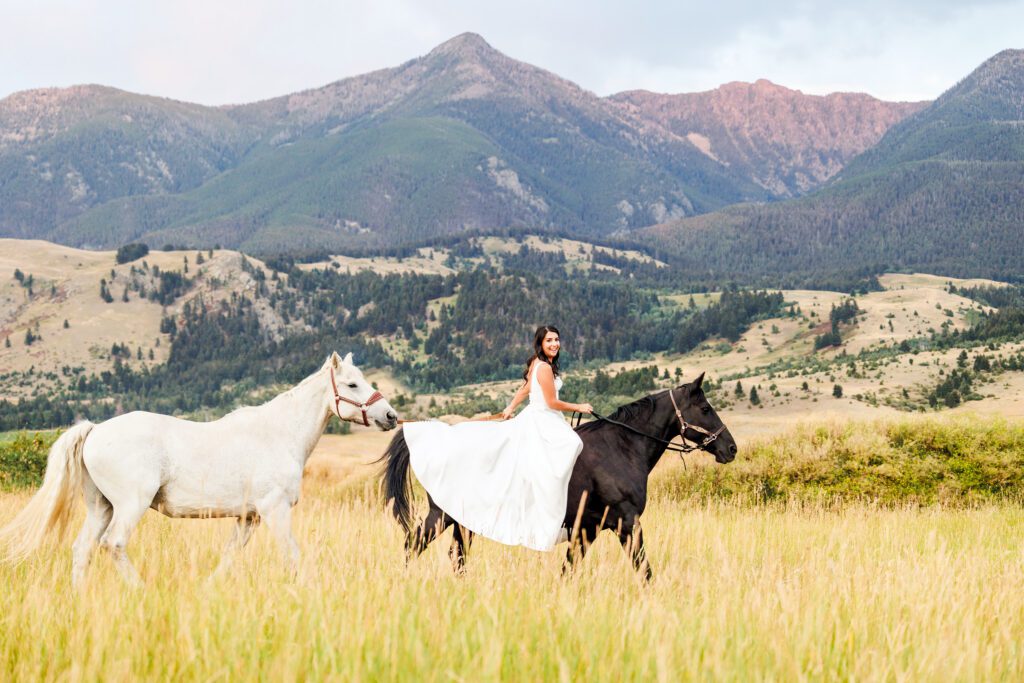 Copper Rose Ranch horses