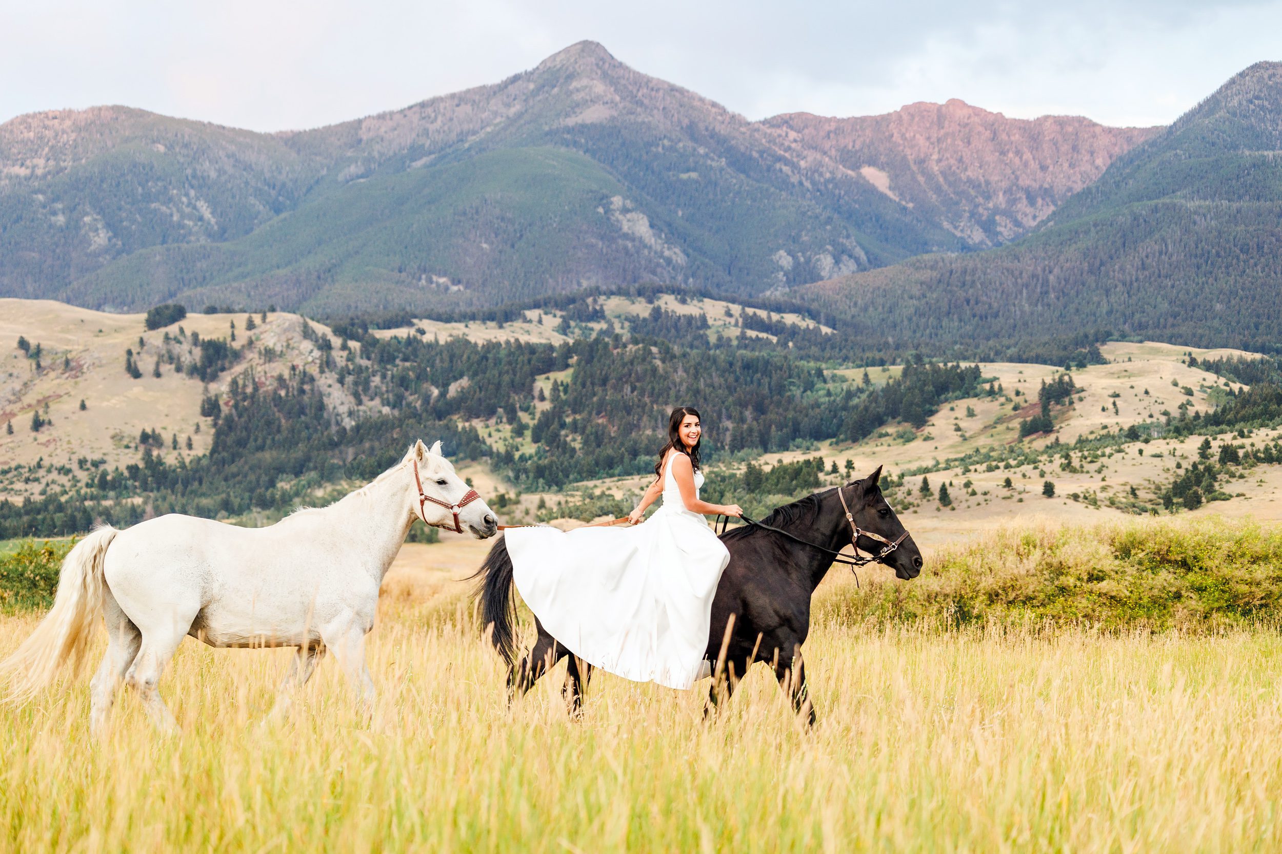 Copper Rose Ranch horses